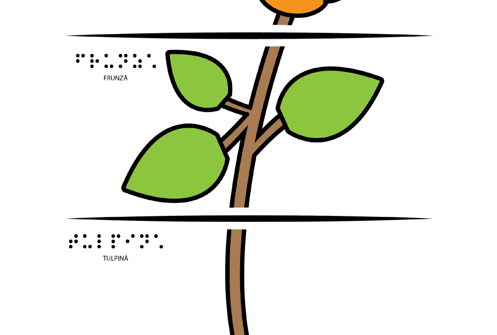 Componentele unei plante